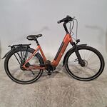 Elektrische damesfiets, RIH
