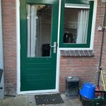 Meranti hardhouten buitendeur, HR++ glas; hoge borstwering, houtkleur,