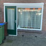 Meranti hardhouten buitendeur, HR++ glas; lage borstwering, houtkleur,