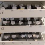 Diverse Supplementen, O.a. Healthy Origins, Double Wood, Now