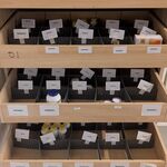 Diverse Supplementen, O.a. Nordic Kings, Wild Irish, The Nordic Promis