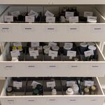 Diverse Supplementen, O.a. Zooki, Mattison, Healthy Origins