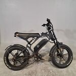 Fatbike, V20