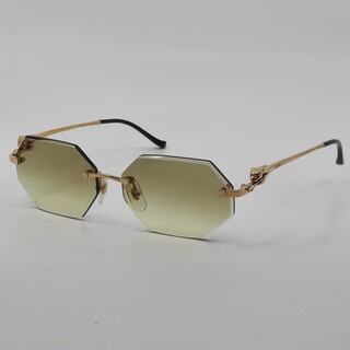 Brilmontuur Cartier, CT0269S 002