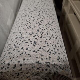 60 m2 Rol industriële tapijt, Forbo, FP10-342116