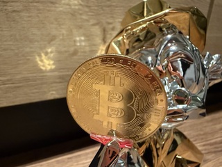 Dagobert Duck BTC beeld, Lior24