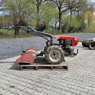 Tuinfrees, Nibbi, 800, 1999