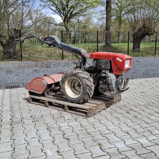 Tuinfrees, Nibbi, 800, 1999