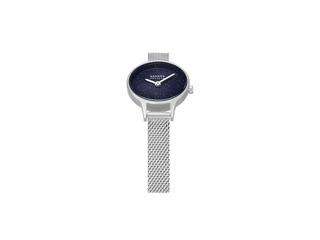 Skagen Anita Micro Dames Horloge 22 mm  Zilverkleurig
