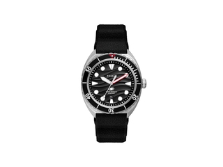 Fossil FS6062 Heren Horloge  Zilverkleurig