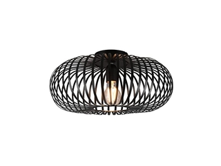 Trio Leuchten Johann Plafondlamp 30cm 60W Zwart