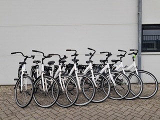 8x Damesfiets, Wit
