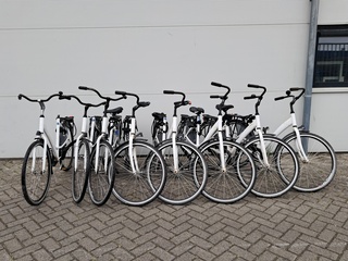 8x Damesfiets, Wit