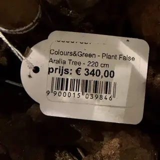 Kunstplant in pot, Colours&Green, False Aralia Tree