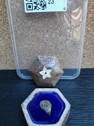 Ring, 16e eeuw