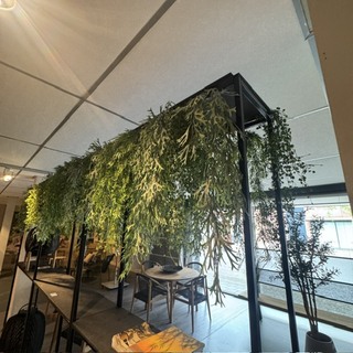 Partij kunst hangplanten Colours&Green