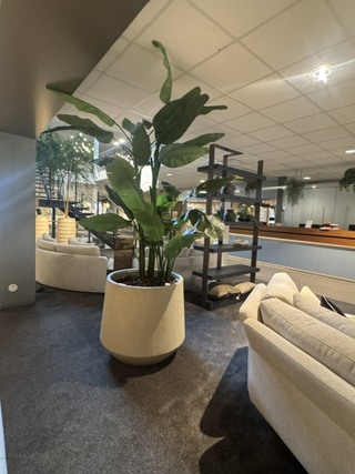Pot met kunstplant Colours&Green, Strelizia
