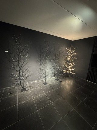 4x LED kerstboom, zwart