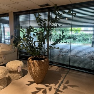Pot met kunstplant Colours&Green, Fishtail Palm