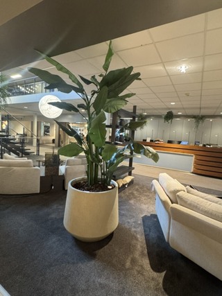 Pot met kunstplant Colours&Green, Strelizia