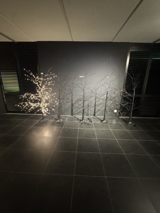 5x LED kerstboom, zwart