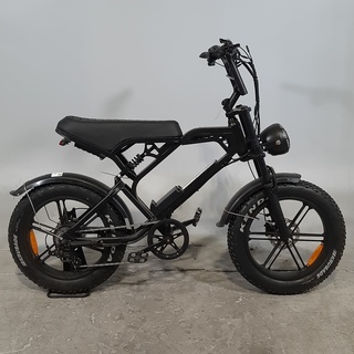 Fatbike, V20