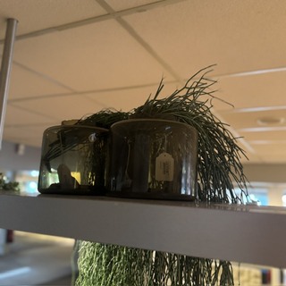 Partij kunst hangplanten Colours&Green