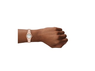 Emporio Armani AR11671 Dames Horloge 26mm Goudkleurig