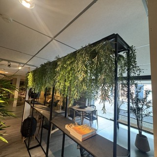 Partij kunst hangplanten Colours&Green