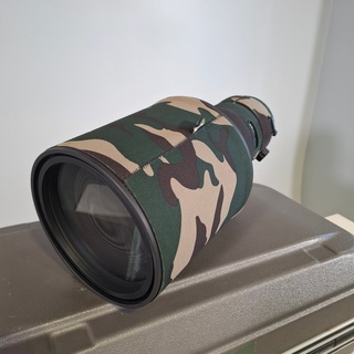 Cameralens, Nikon, AF-S NIKKOR 400mm 1:2.8E FLED
