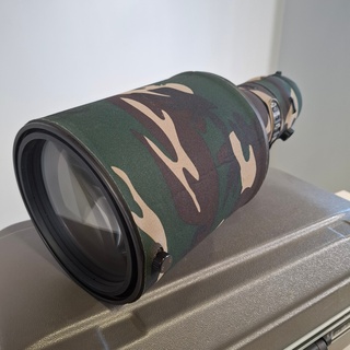 Cameralens, Nikon, AF-S NIKKOR 600mm 1:4E FLED VR