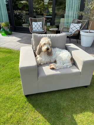 Loungefauteuil allweather, Marche, sand, 2026