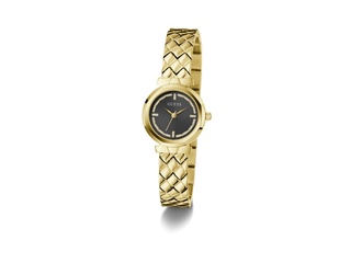 Guess Mini Rumour GW0839L2 Horloge Staal Goudkleurig