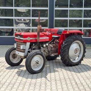 Trekker, Massey Ferguson, 135, 1974