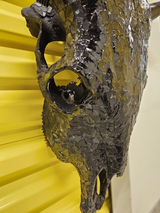 Koeienschedel decoratief, Glaswerk, Zwart