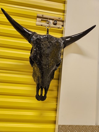 Koeienschedel decoratief, Glaswerk, Zwart