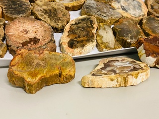 Ca. 31x Versteend hout plakken