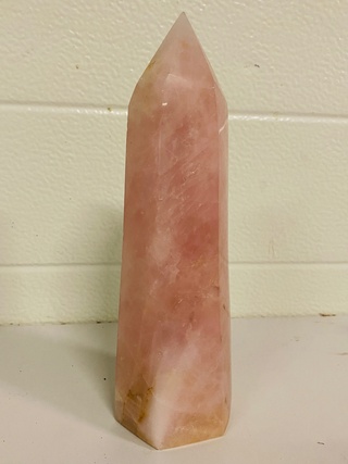 Rozenkwarts obelisk XL, roze