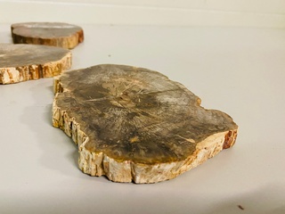 5x Versteend hout plakken