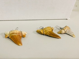 Ca. 50x Haaientand hangers