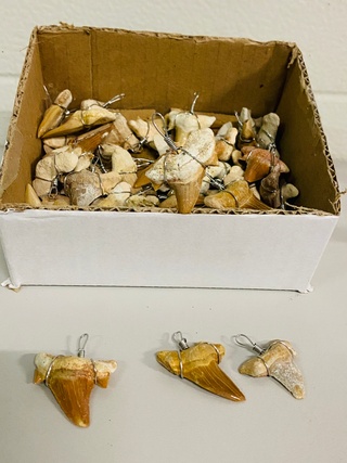 Ca. 50x Haaientand hangers