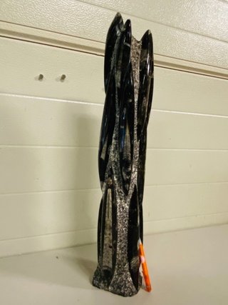 Orthoceras toren XXL