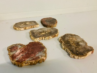 5x Versteend hout plakken