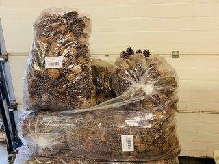 5x Zak a 10 kilo dennenappels