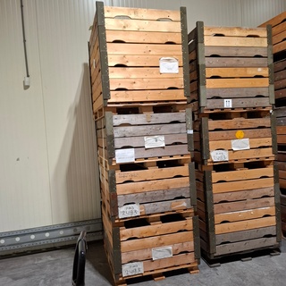 Ca. 40x Kabelhaspel, CX-1065/G