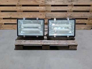 2x Inductie schijwerper, LVD, ZS11000-200 Flood Lighting
