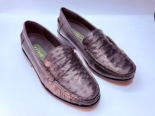 Cavalli Struisvogel leren schoenen – Maat 41