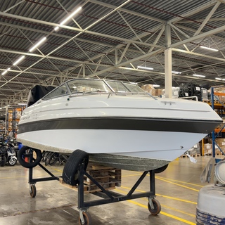 Motorboot, Four Winns, 195 Sundowner