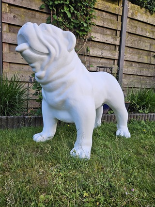 Bulldog, Polyester, Decoratief