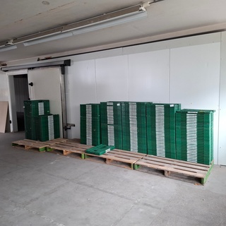 Partij diverse kunststof emballage kratten